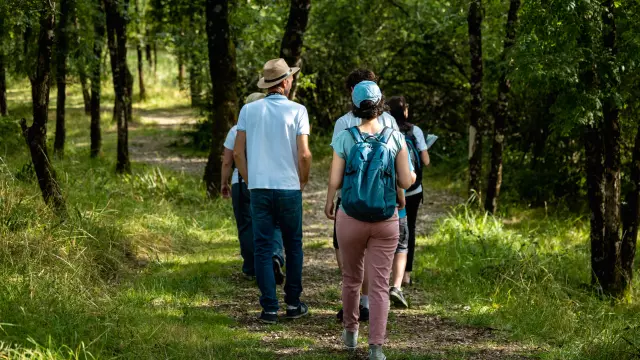 Visiteurs parcours Terres d'Oiseaux