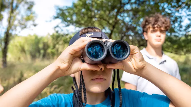 Gros plan observation jumelles enfants Terres d'Oiseaux