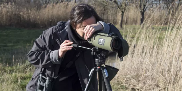 Carole guide nature Terres d'Oiseaux